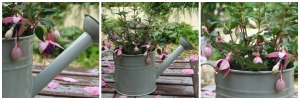 Watering can planter
